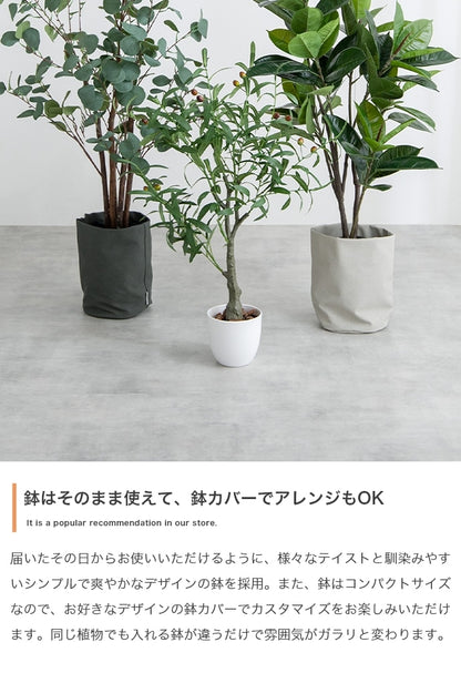 大型サイズ 観葉植物 フェイクグリーン 光触媒 高さ150cmタイプ
