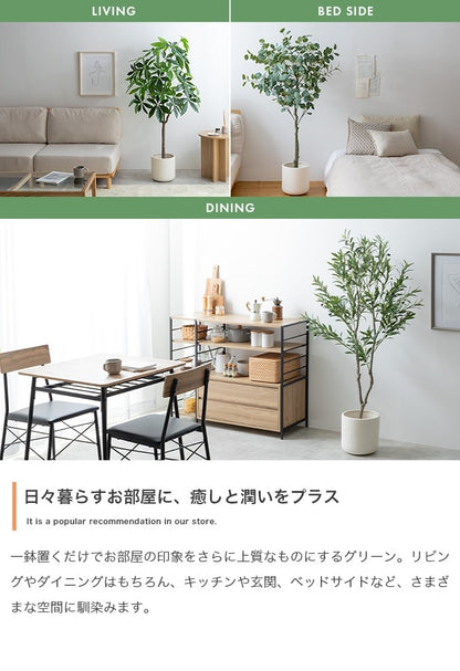 大型サイズ 観葉植物 フェイクグリーン 光触媒 高さ150cmタイプ