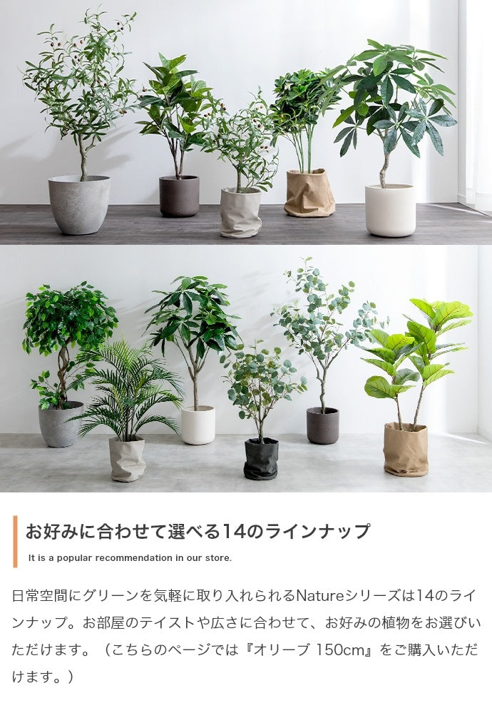 大型サイズ 観葉植物 フェイクグリーン 光触媒 高さ150cmタイプ