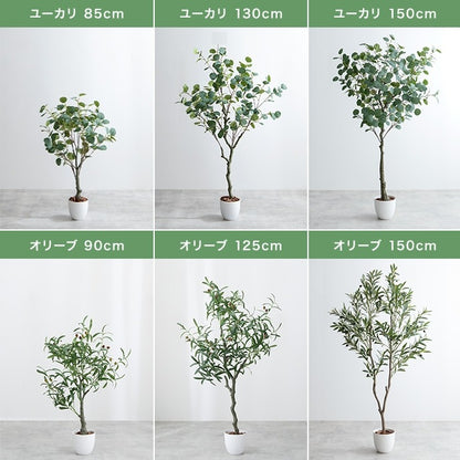 大型サイズ 観葉植物 フェイクグリーン 光触媒 高さ150cmタイプ