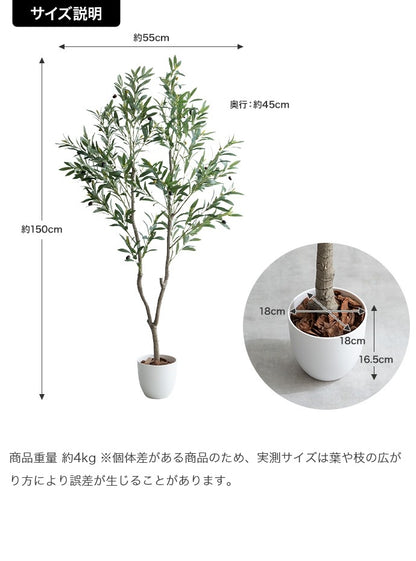 大型サイズ 観葉植物 フェイクグリーン 光触媒 高さ150cmタイプ