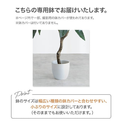 大型サイズ 観葉植物 フェイクグリーン 光触媒 高さ150cmタイプ