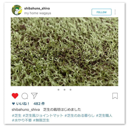 芝生風ジョイントマット シーヴァ 36枚セット 1枚あたり約60×60cm 室内用 防音効果 クッション性アップ