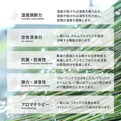 円形 い草 ラグ 直径180cm アステカ柄 AZTEC 抗菌 防臭 空気清浄