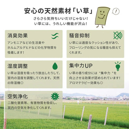 い草カーペット 和室 フリーカット 江戸間4.5帖（261x261cm） 補修テープ付き 部屋に合わせたカット可能