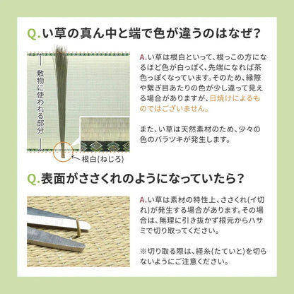 い草カーペット 和室 フリーカット 江戸間4.5帖（261x261cm） 補修テープ付き 部屋に合わせたカット可能