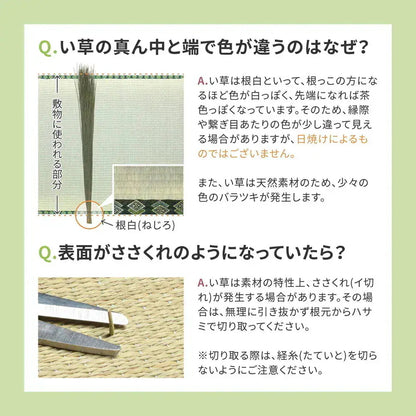 い草カーペット 和室 フリーカット 江戸間8帖（352x352cm） 補修テープ付き 部屋に合わせたカット可能