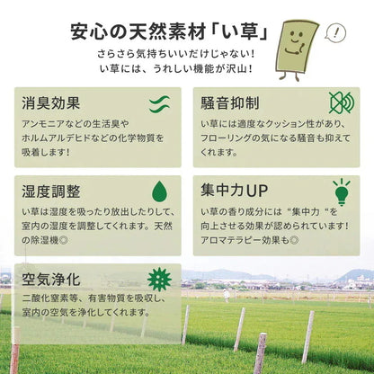 い草カーペット 和室 フリーカット 江戸間10帖（352x440cm） 補修テープ付き 部屋に合わせたカット可能