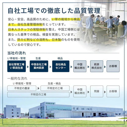 い草カーペット 和室 フリーカット 江戸間10帖（352x440cm） 補修テープ付き 部屋に合わせたカット可能