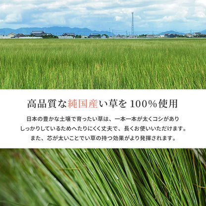 国産 い草ラグ 191x191cm 上敷き 湿度調整