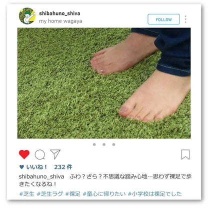 芝生風ラグ シーヴァ 円形 直径90cm 室内用 緑色 防音効果 クッション性アップ
