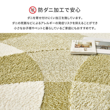 日本製 高機能ラグ 130x190cm 防ダニ／抗菌防臭／抗ウィルス／アレル物質低減／消臭 オールシーズン
