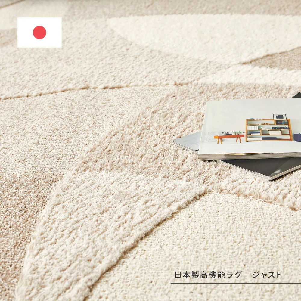 日本製 高機能ラグ 190x190cm 防ダニ／抗菌防臭／抗ウィルス／アレル物質低減／消臭 オールシーズン