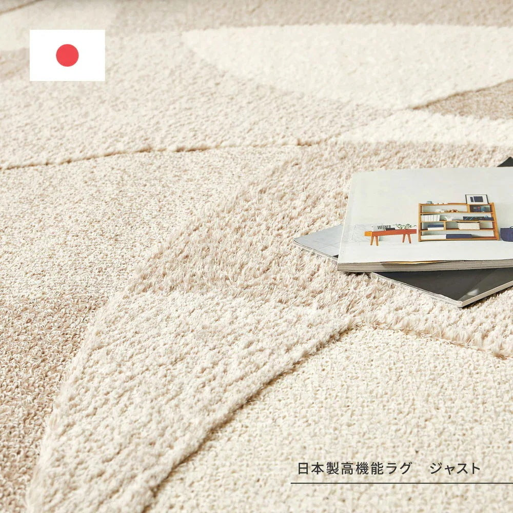 日本製 高機能ラグ 190x240cm 防ダニ／抗菌防臭／抗ウィルス／アレル物質低減／消臭 オールシーズン