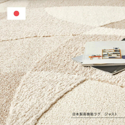 日本製 高機能ラグ 190x240cm 防ダニ／抗菌防臭／抗ウィルス／アレル物質低減／消臭 オールシーズン