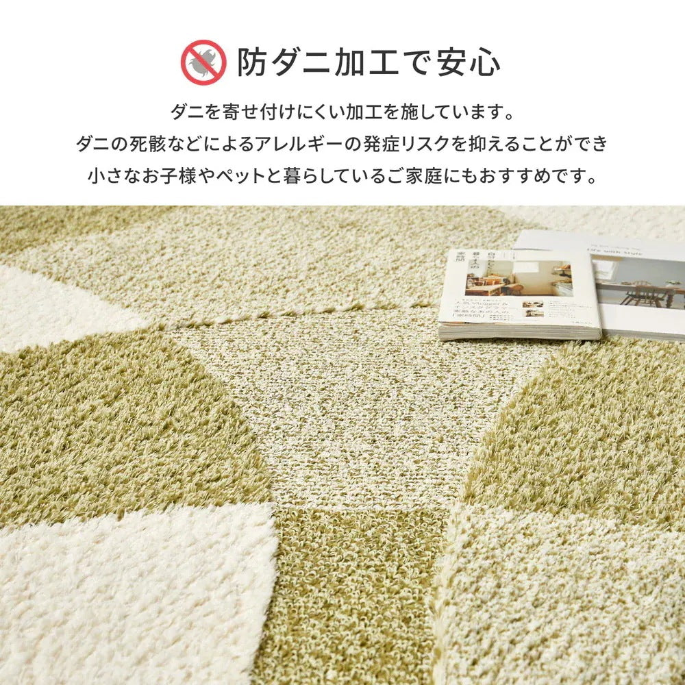 日本製 高機能ラグ 190x240cm 防ダニ／抗菌防臭／抗ウィルス／アレル物質低減／消臭 オールシーズン