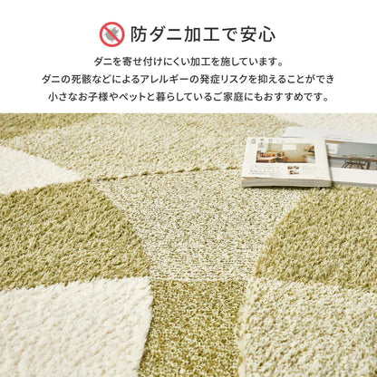 日本製 高機能ラグ 190x240cm 防ダニ／抗菌防臭／抗ウィルス／アレル物質低減／消臭 オールシーズン