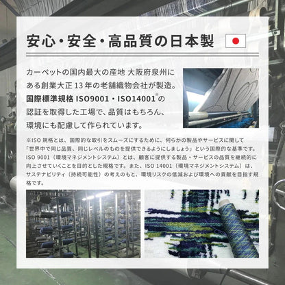 日本製 高機能ラグ 190x240cm 防ダニ／抗菌防臭／抗ウィルス／アレル物質低減／消臭 オールシーズン