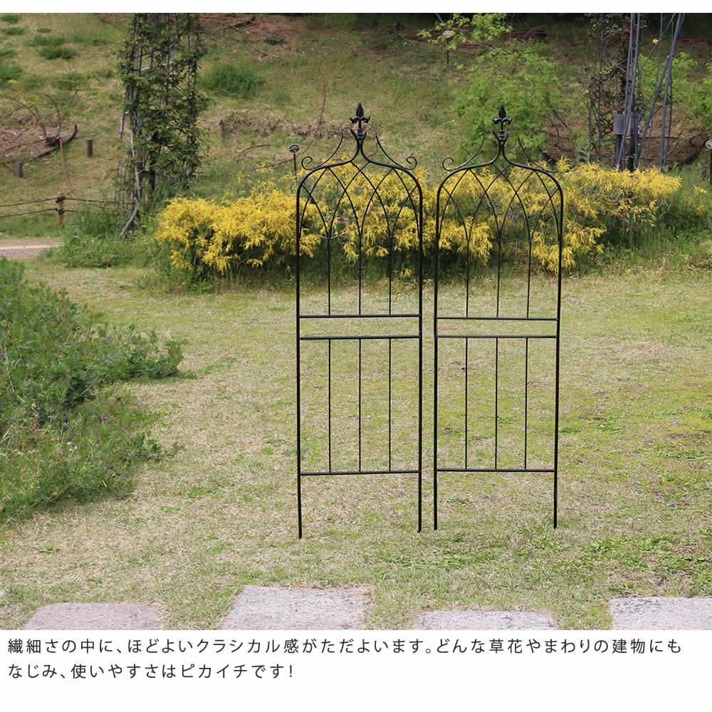 アイアン製フェンス ロータイプ 2枚セット 1枚あたり幅40cm ガーデニング 園芸 高耐久