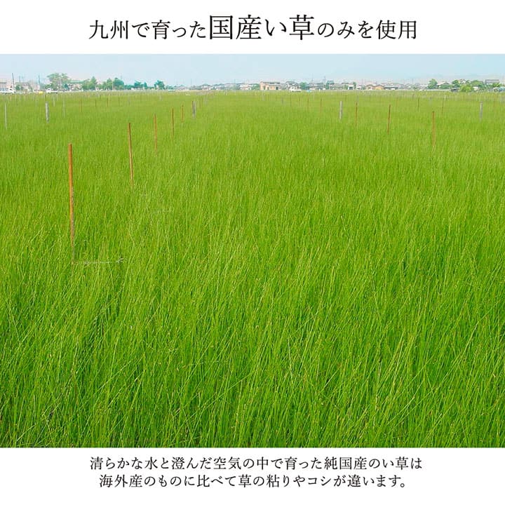 日本製 い草ラグ 90x150cm 和風モダン 抗菌防臭 カーペット 空気清浄効果