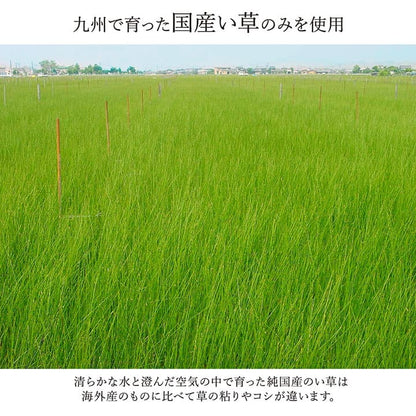 日本製 い草ラグ 191x300cm 和風モダン 抗菌防臭 カーペット 空気清浄効果