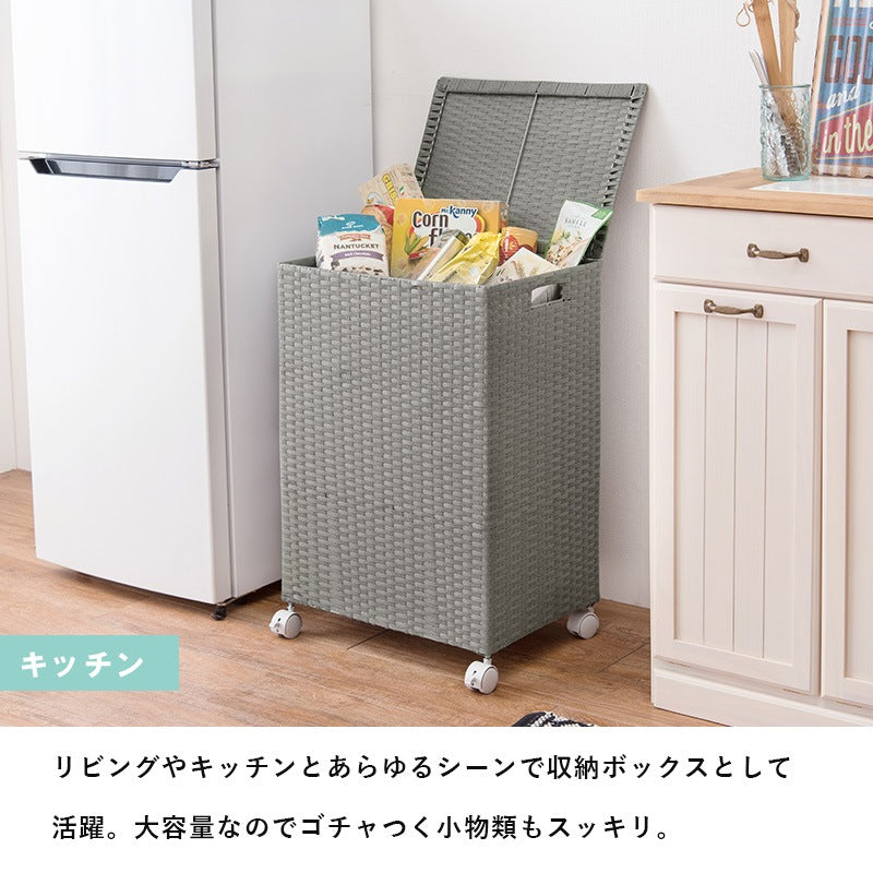 キャスター付 収納ボックス 放り込み ランドリー 子供部屋 RUD 45x32x66cm