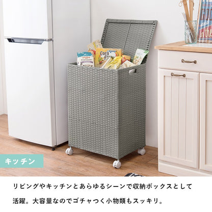 キャスター付 収納ボックス 放り込み ランドリー 子供部屋 RUD 45x32x66cm