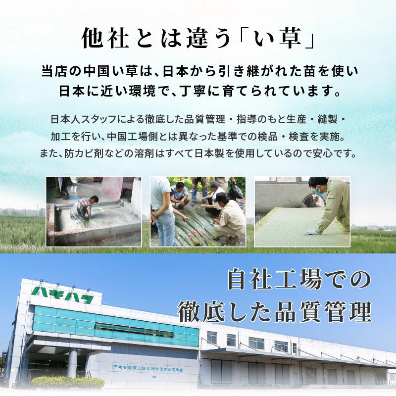 小上がり畳ユニット 60x60cm 正方形 ロータイプ 高さ25cm 和室 座敷 キッズスペース 床下収納
