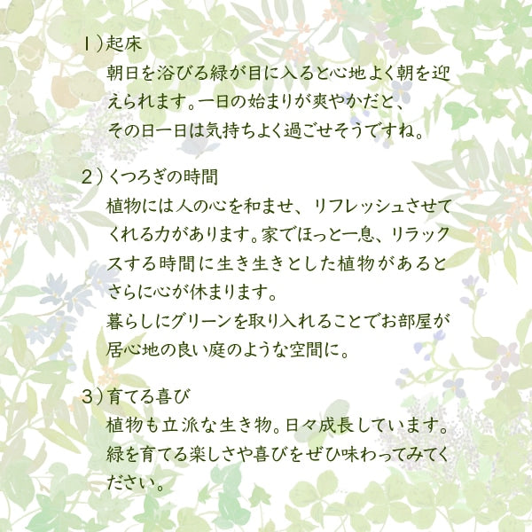3段ガラスラック 観葉植物 フラワースタンド 古木風 アンティークテイスト