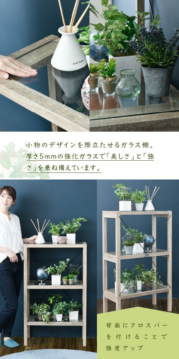 3段ガラスラック 観葉植物 フラワースタンド 古木風 アンティークテイスト