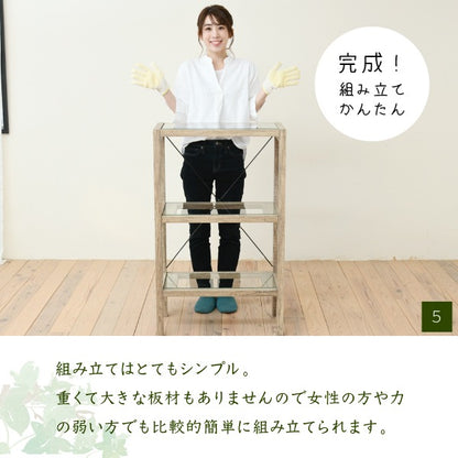 3段ガラスラック 観葉植物 フラワースタンド 古木風 アンティークテイスト
