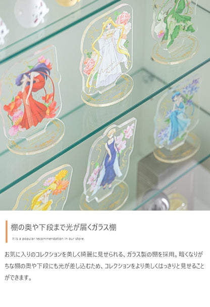 卓上 コレクションケース 60x40cm ガラス扉 ショーケース