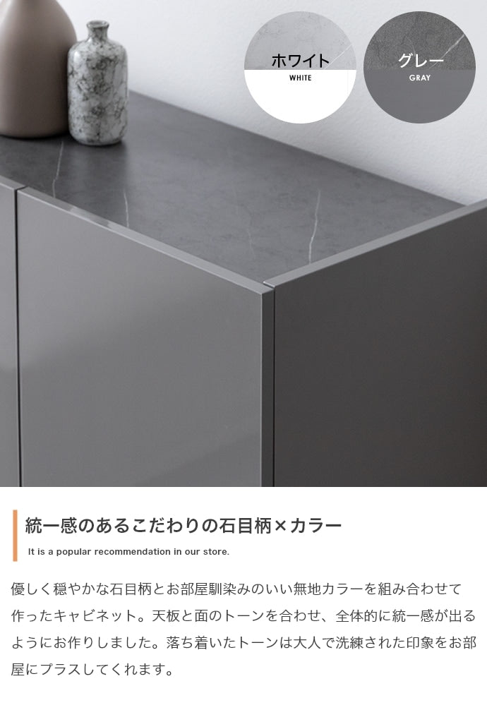 2way鏡面リビングボード 幅100cm フラットデザイン キャビネット 大容量収納