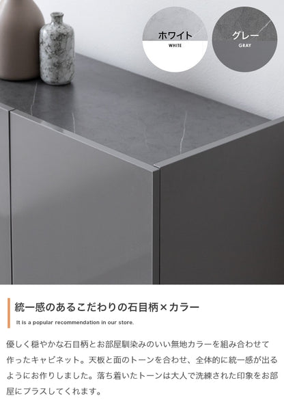 2way鏡面リビングボード 幅100cm フラットデザイン キャビネット 大容量収納