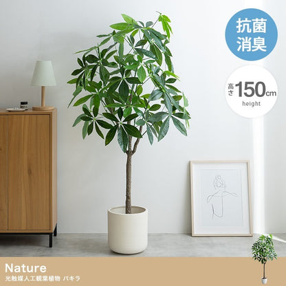 大型サイズ 観葉植物 フェイクグリーン 光触媒 パキラ 高さ150cm