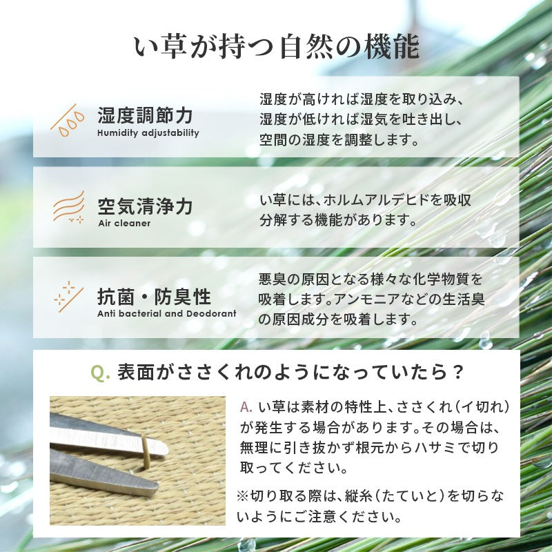 小上がり畳ユニット 120x60cm 長方形 ロータイプ 高さ25cm 和室 座敷 キッズスペース 床下収納