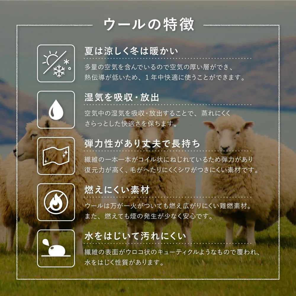 キッチンマット 約40×240cm ギャッベ ウール 手織り ふかふか 床暖房OK オールシーズン