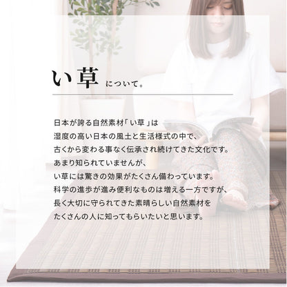 い草ラグ 約180×180cm ウレタン入り クッション性 静音 折りたたみ収納 夏 冷感 正方形