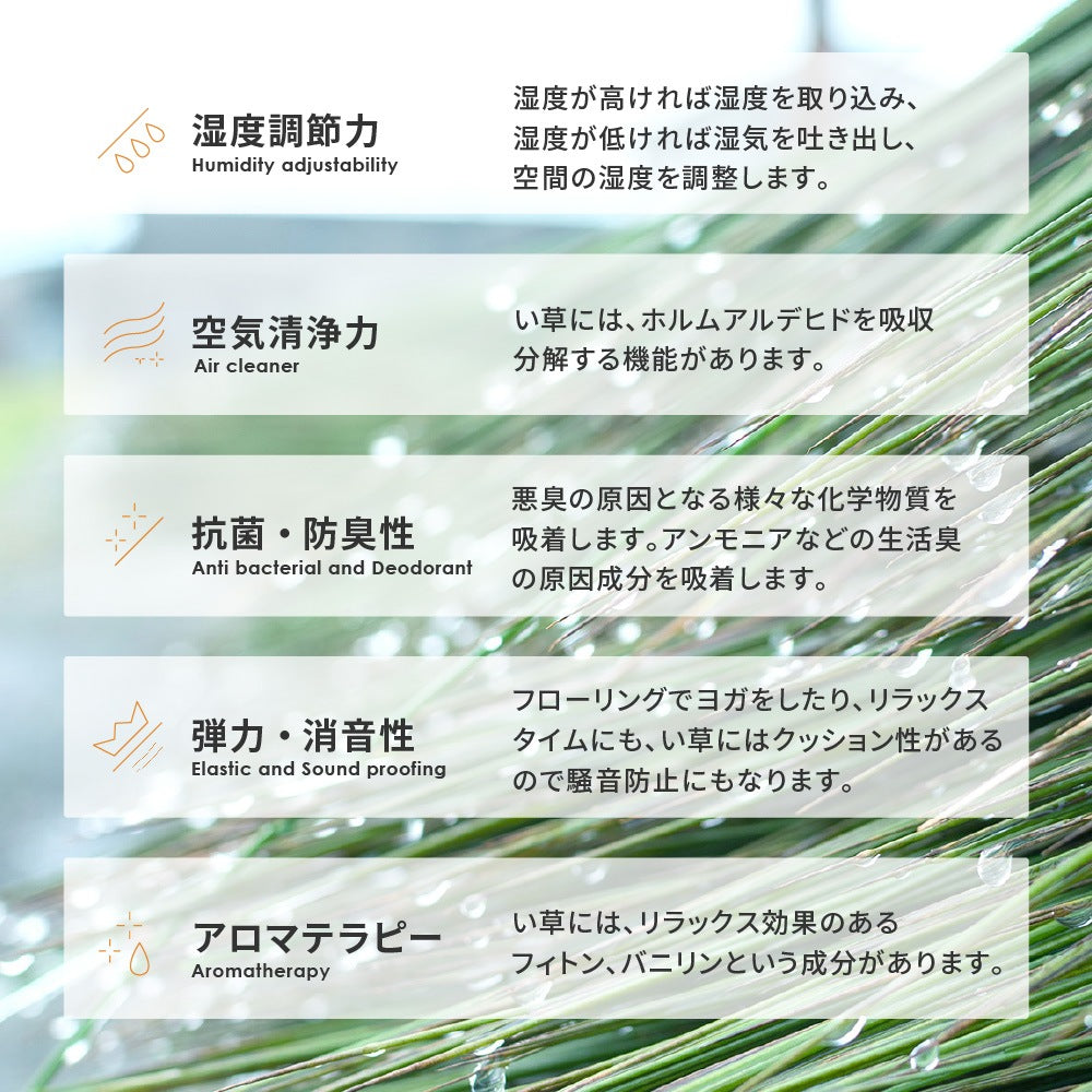 い草ラグ 約180×180cm ウレタン入り クッション性 静音 折りたたみ収納 夏 冷感 正方形