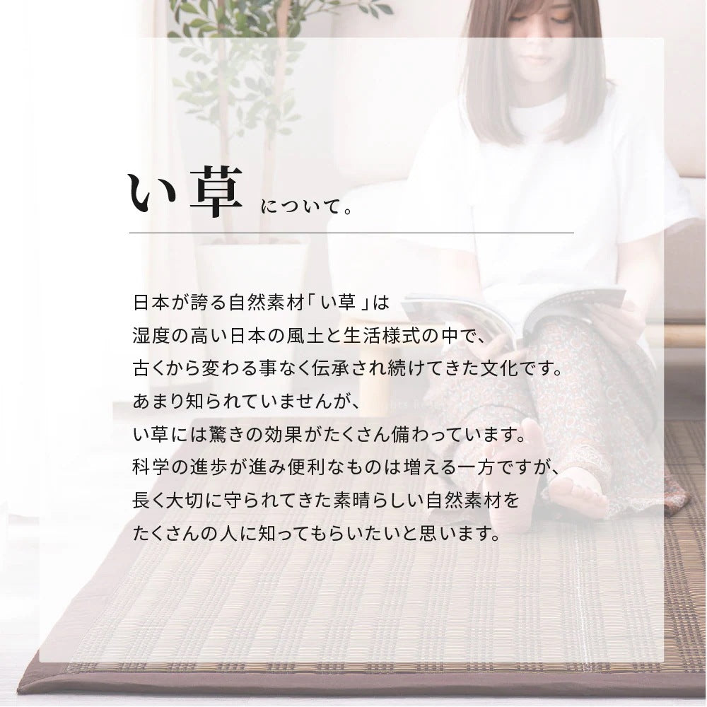 い草ふっくらラグ 仙名 約180×240cm ウレタン入り クッション性 静音 折りたたみ収納可能 長方形 い草ラグマット