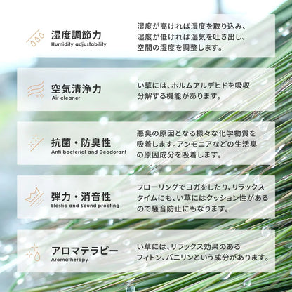 い草ふっくらラグ 仙名 約180×240cm ウレタン入り クッション性 静音 折りたたみ収納可能 長方形 い草ラグマット