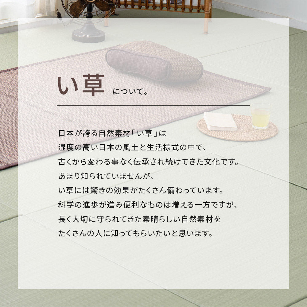 い草ラグ 約191×191cm 天然素材 抗カビ 消臭 裏貼り ナチュラル 夏 冷感 正方形