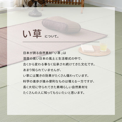 い草ラグ 約191×191cm 天然素材 抗カビ 消臭 裏貼り ナチュラル 夏 冷感 正方形