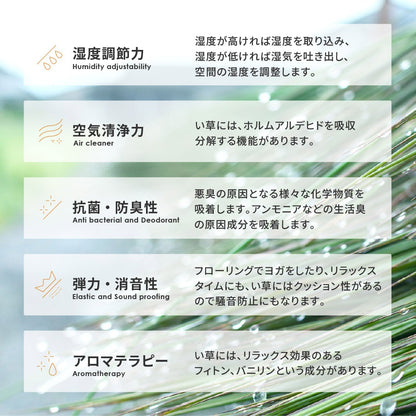 い草ラグ 約191×191cm 天然素材 抗カビ 消臭 裏貼り ナチュラル 夏 冷感 正方形