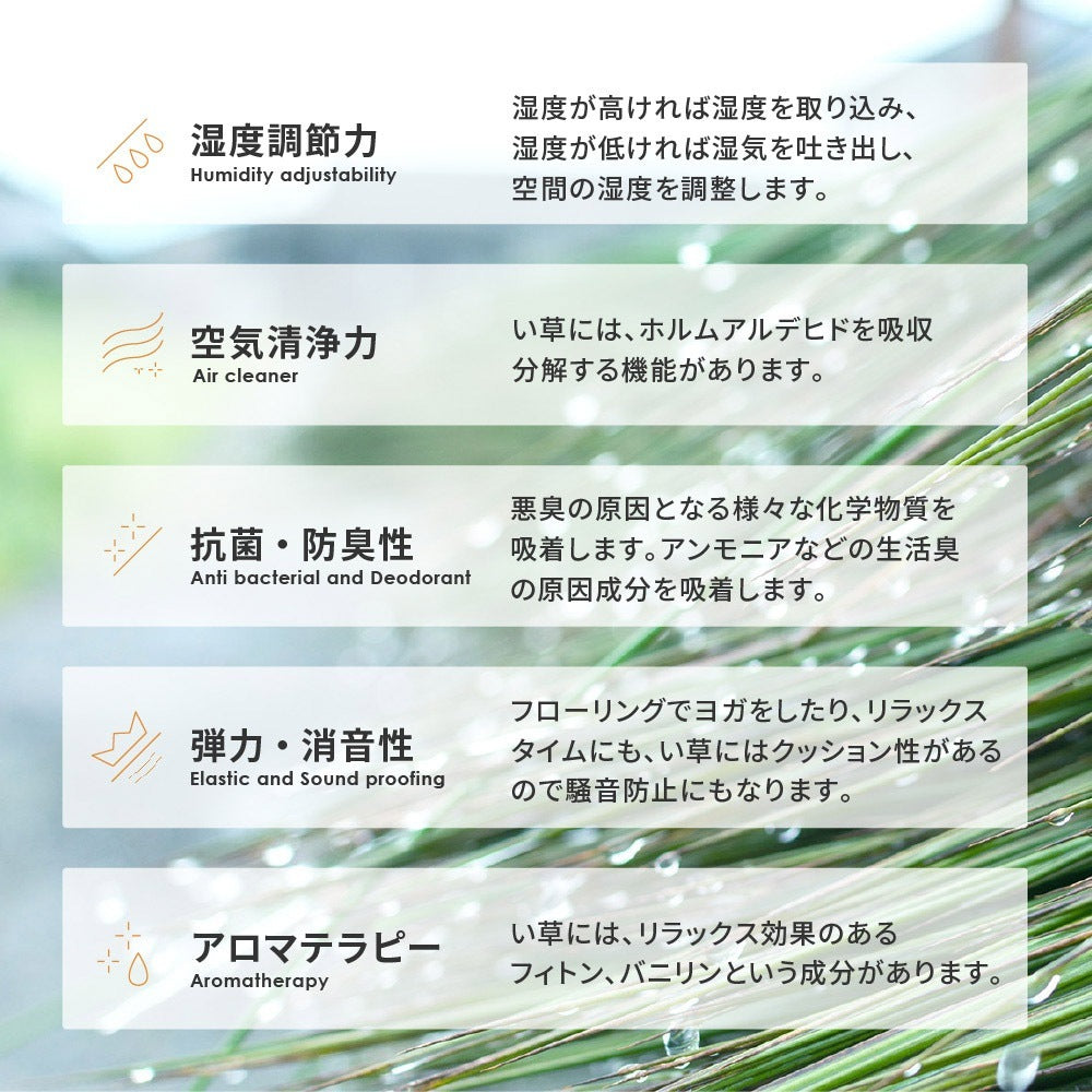 い草ラグ 約191×240cm 3畳 天然素材 抗カビ 消臭 裏貼り ナチュラル 夏 冷感