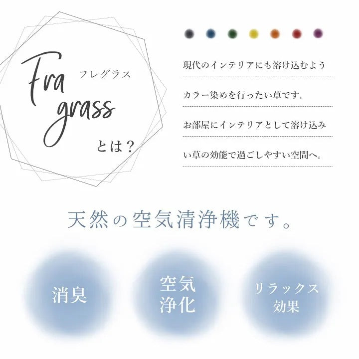 天然の消臭剤 Fragrass い草 30cm (20g束) インテリア 【5点以上組み合わせ】 オブジェ 国産 フラワーアレンジメント 抗菌防臭