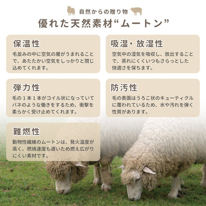 ムートンフリース 天然ムートン 約60×90cm 一匹物 羊毛皮 ニュージーランド産 椅子敷き