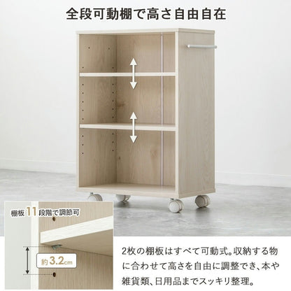 押入れ／クローゼット収納ラック 奥行45cm 選べる幅3サイズ (19/25/38cm) すきま収納