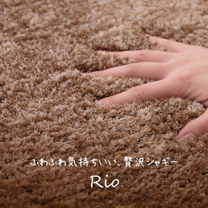玄関マット ふわふわ 55×85cm シャギー 滑り止め付き ナチュラル おしゃれ アクセント 洗える