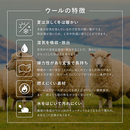 ラグマット 140×200cm 天然ウール ハンドメイド インド製 床暖房対応 ホットカーペット 手織り